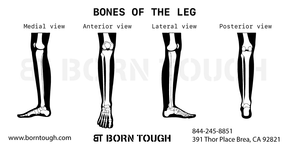 Tibia Smärta löpning eller promenader