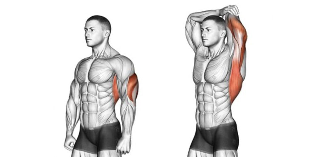 Overhead Triceps Stretch