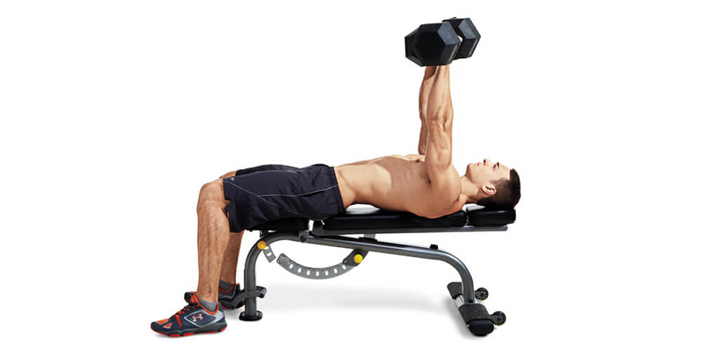 Hantel Chest Press